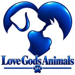 Love God's Animals – T-Shirts Clothing company providing merchandise via animals Love God's Animals, your one-stop shop for comfy, faith-filled tees that celebrate God’s creatures. Simple, bright, and ready to wear. Every time you shop with Love Gods Animals, a percentage of our earnings goes toward helping organizations that care for abandoned, homeless, neglected, and rescued animals. lovegodsanimals.com #tshirts #dogs #cats #cat #dog #lovegodsanimals